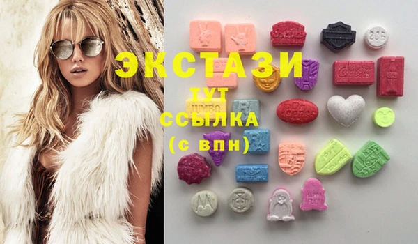 ECSTASY Богородицк