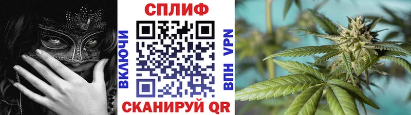 Бошки Шишки гибрид Миллерово